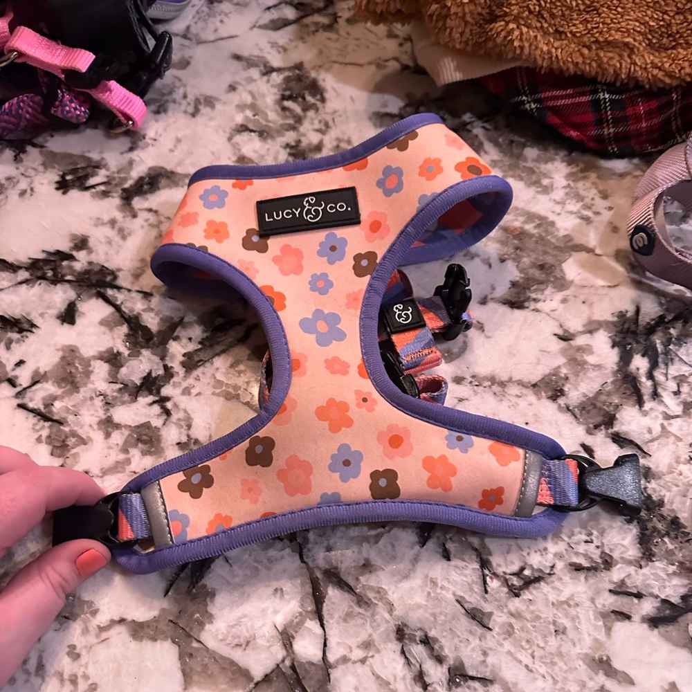 Small Lucy & Co reversible dog harness. Worn a couple times.